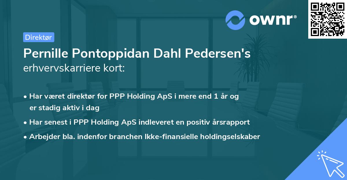 Pernille Pontoppidan Dahl Pedersen's erhvervskarriere kort