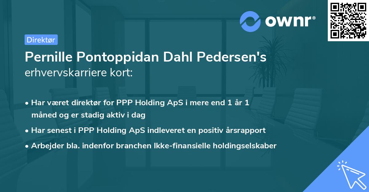 Pernille Pontoppidan Dahl Pedersen's erhvervskarriere kort