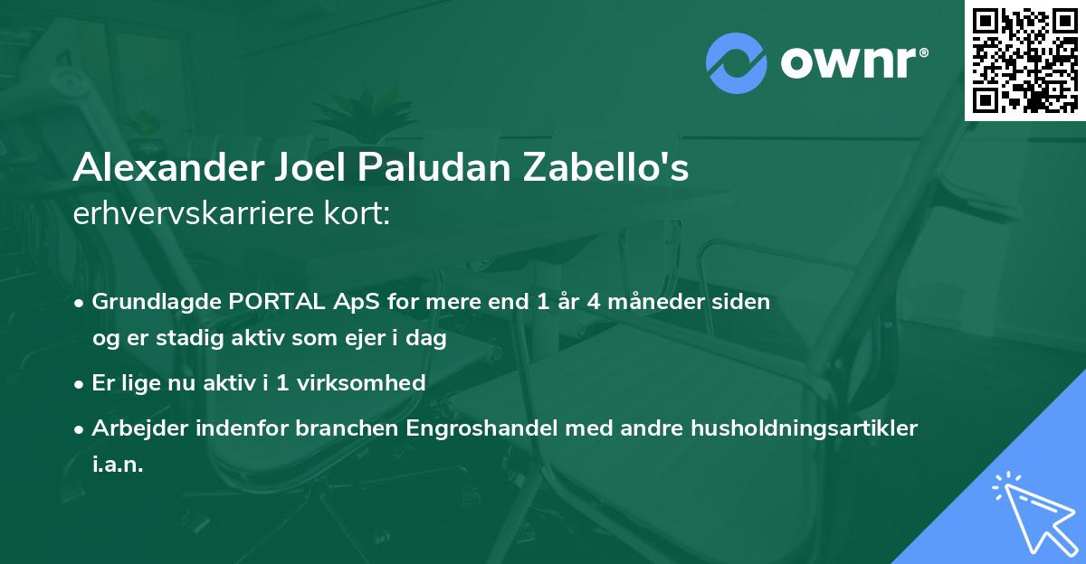 Alexander Joel Paludan Zabello's erhvervskarriere kort