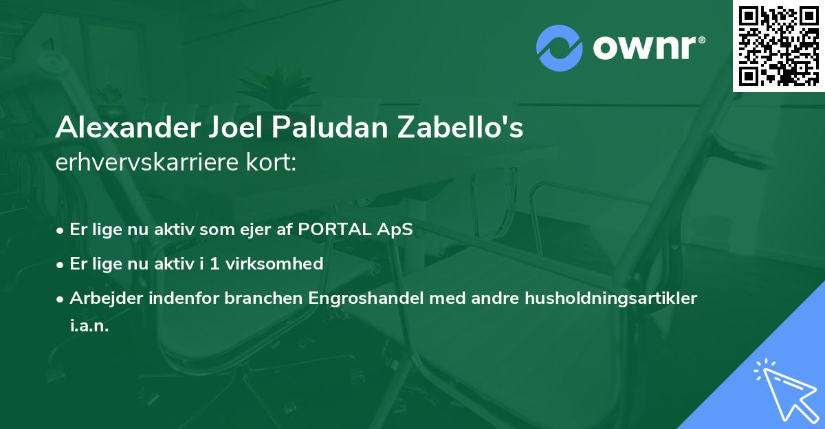 Alexander Joel Paludan Zabello's erhvervskarriere kort