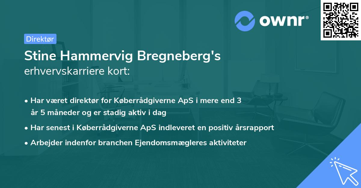 Stine Hammervig Bregneberg's erhvervskarriere kort