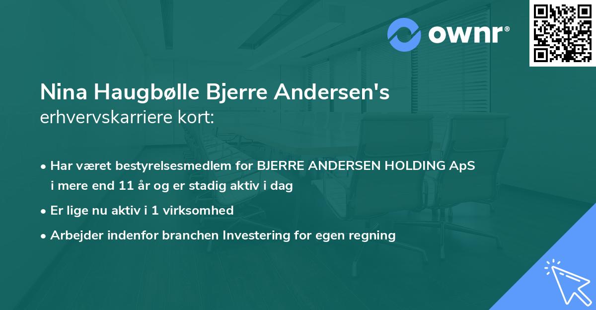 Nina Haugbølle Bjerre Andersen's erhvervskarriere kort