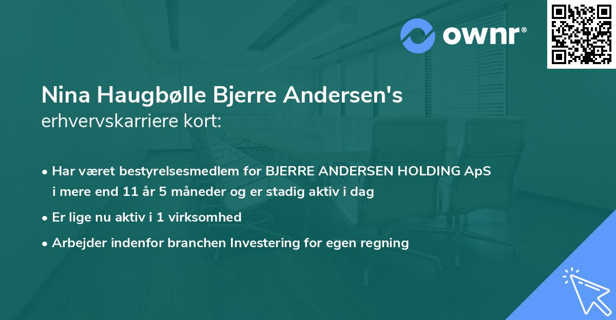 Nina Haugbølle Bjerre Andersen's erhvervskarriere kort