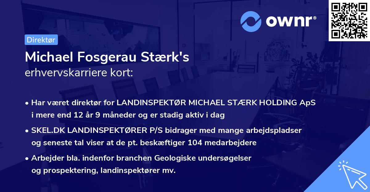 Michael Fosgerau Stærk's erhvervskarriere kort