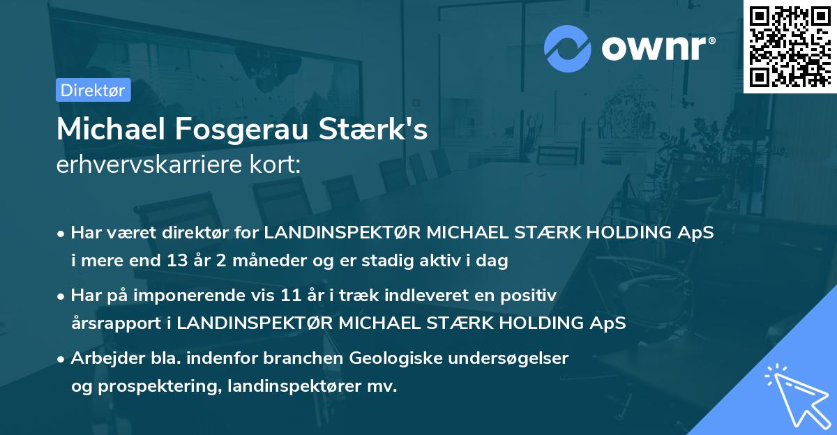 Michael Fosgerau Stærk's erhvervskarriere kort