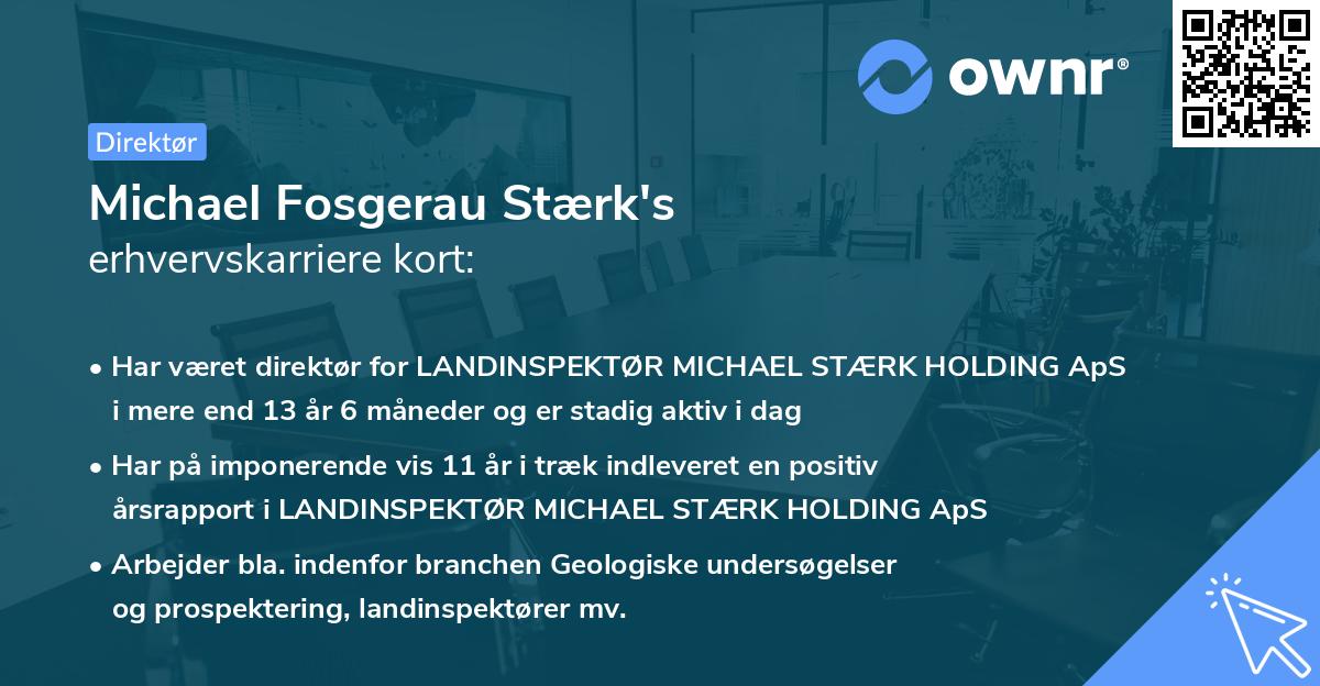 Michael Fosgerau Stærk's erhvervskarriere kort