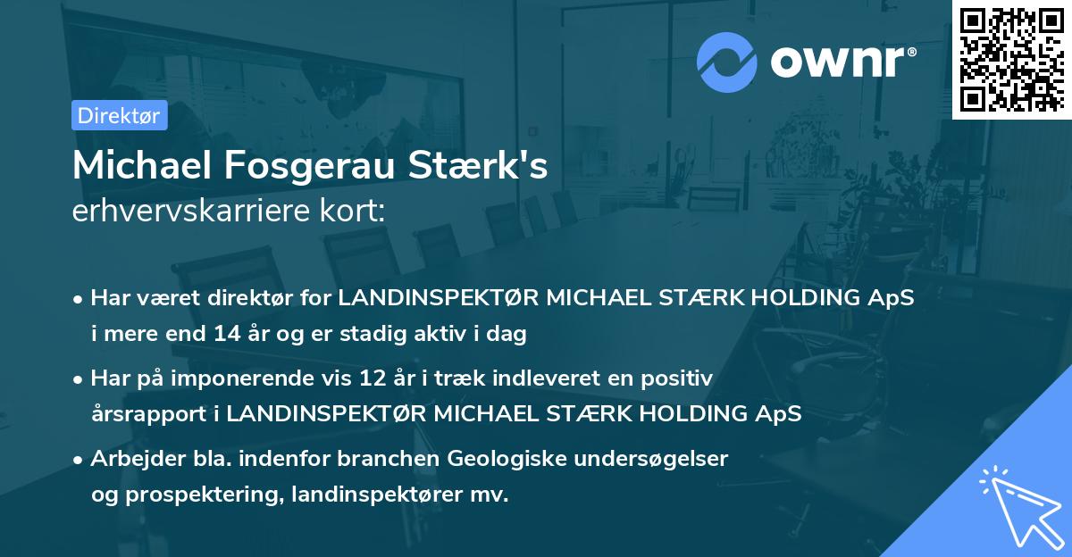 Michael Fosgerau Stærk's erhvervskarriere kort