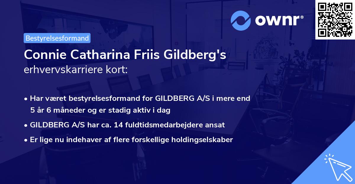 Connie Catharina Friis Gildberg's erhvervskarriere kort