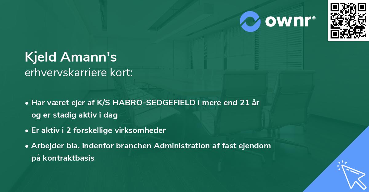 Kjeld Amann's erhvervskarriere kort