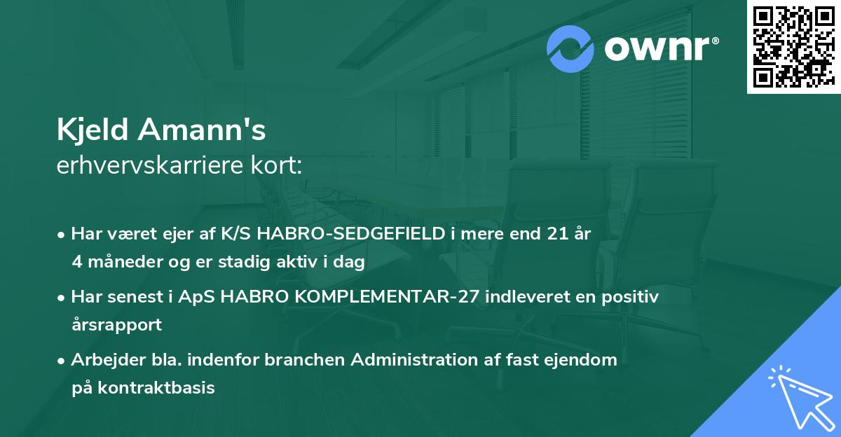 Kjeld Amann's erhvervskarriere kort