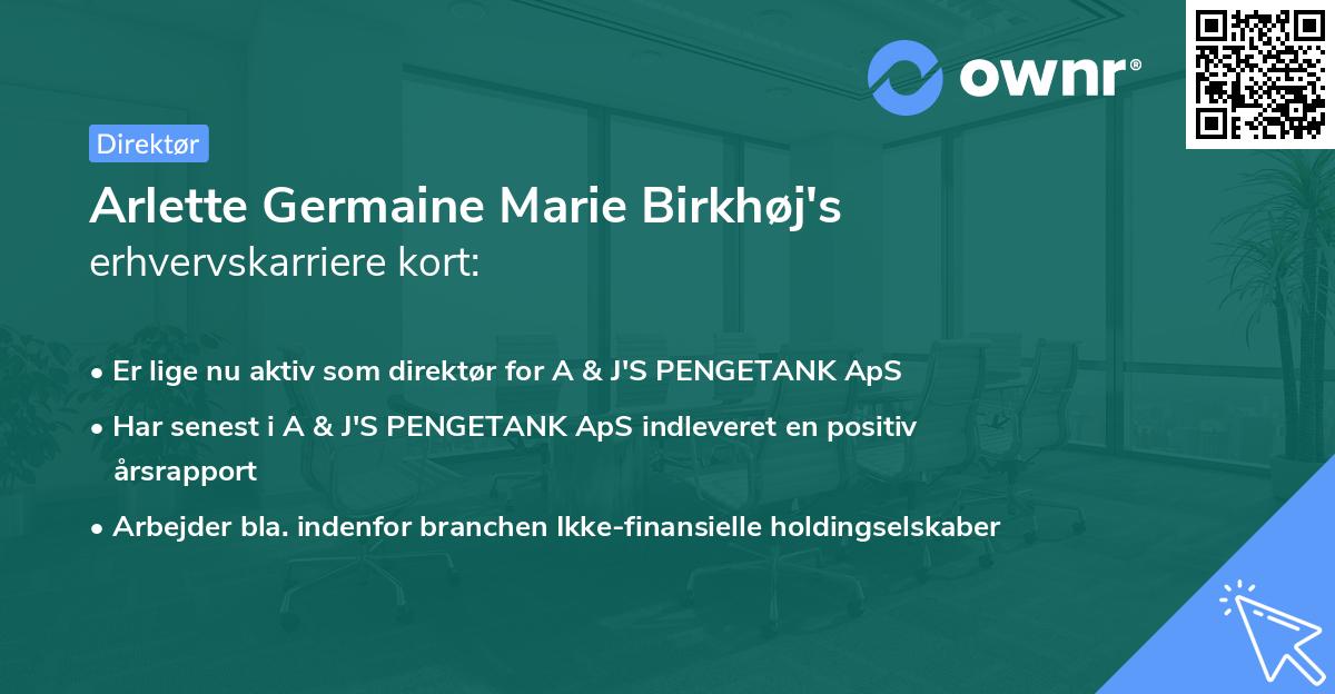 Arlette Germaine Marie Birkhøj's erhvervskarriere kort