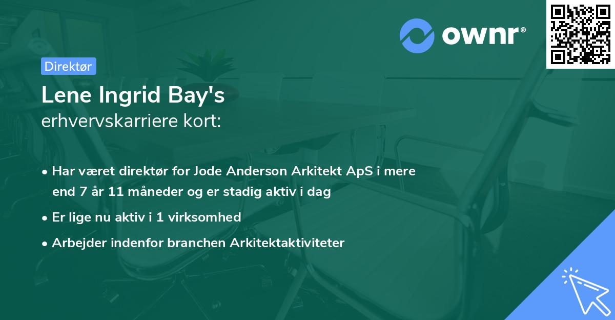 Lene Ingrid Bay's erhvervskarriere kort