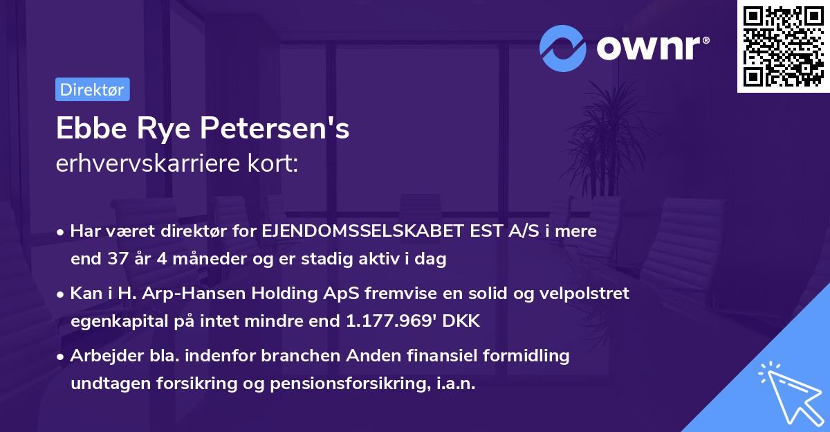 Ebbe Rye Petersen's erhvervskarriere kort