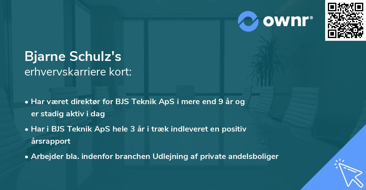 Bjarne Schulz's erhvervskarriere kort
