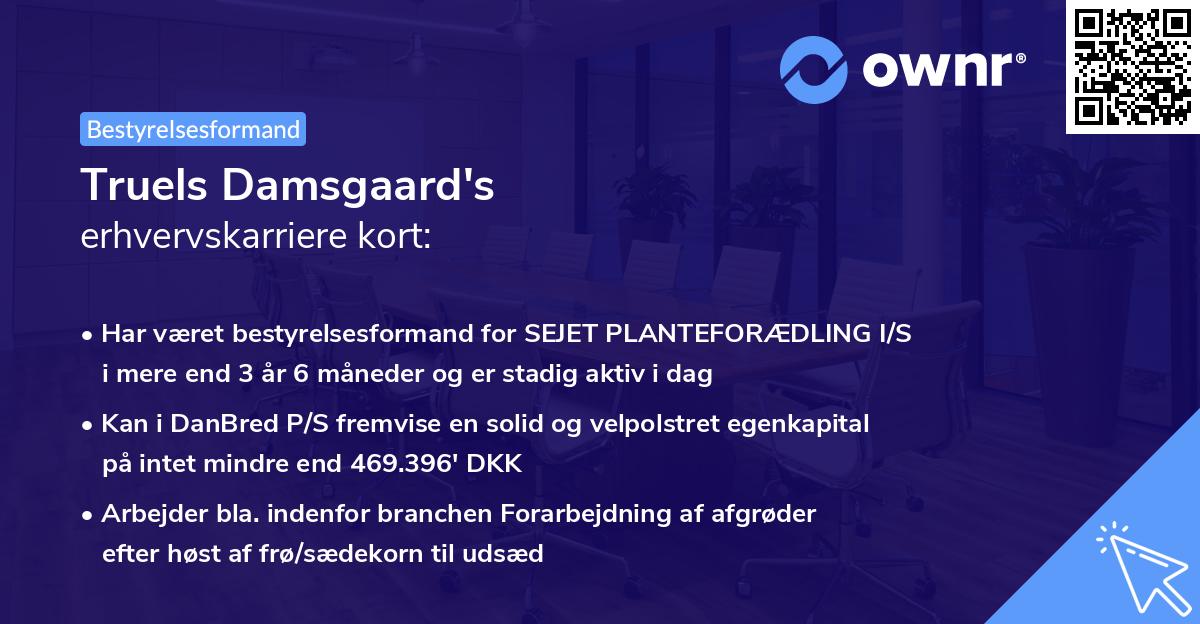 Truels Damsgaard's erhvervskarriere kort