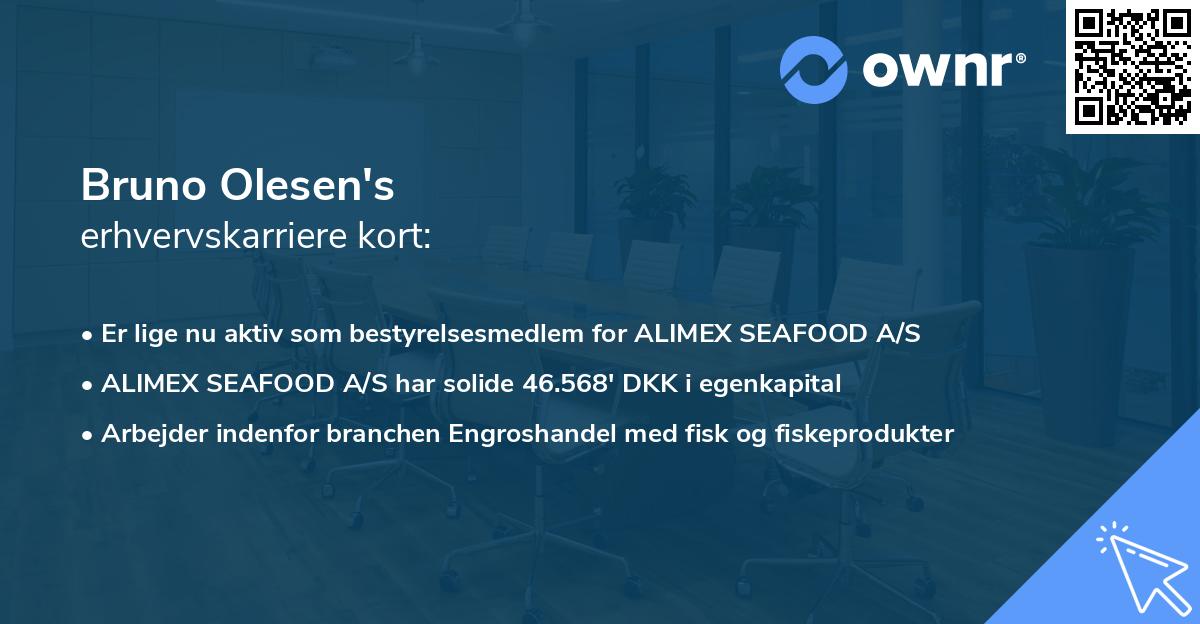 Bruno Olesen's erhvervskarriere kort