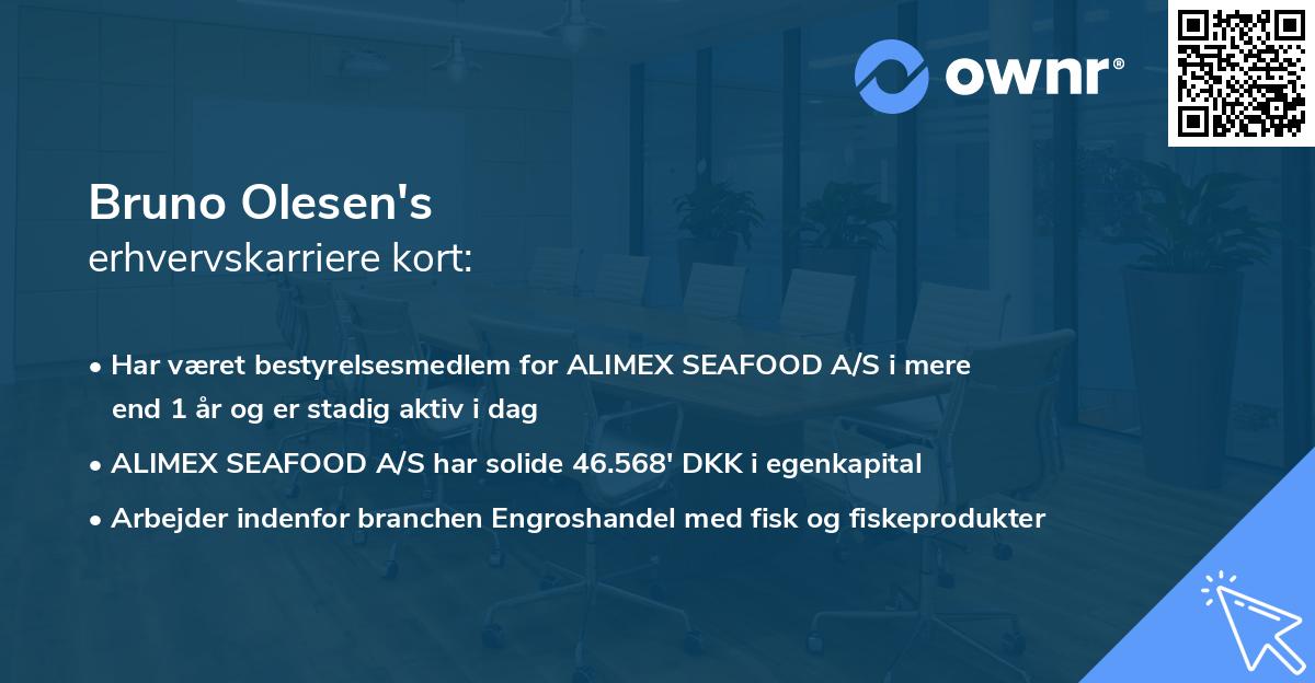 Bruno Olesen's erhvervskarriere kort