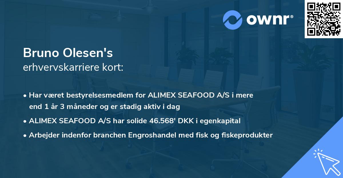Bruno Olesen's erhvervskarriere kort