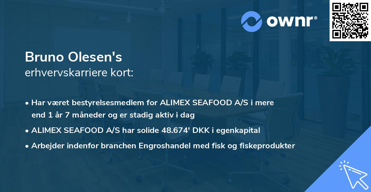 Bruno Olesen's erhvervskarriere kort