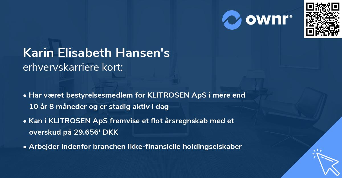 Karin Elisabeth Hansen's erhvervskarriere kort