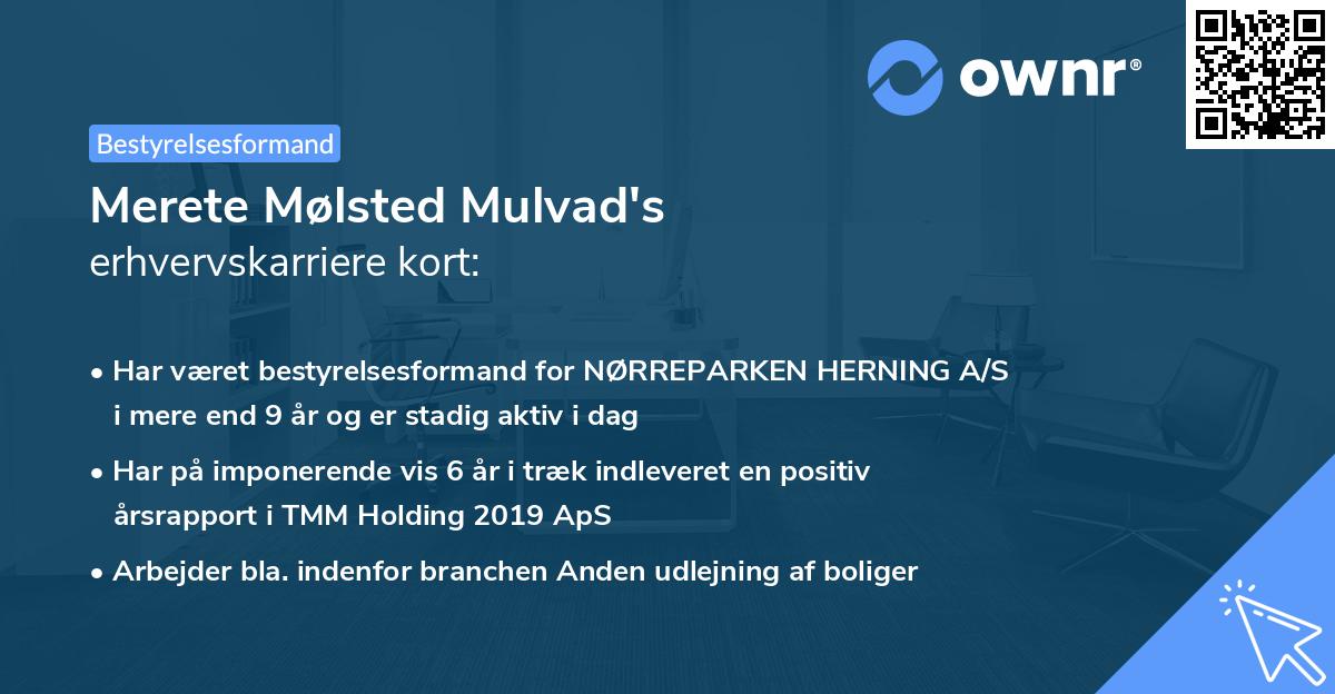 Merete Mølsted Mulvad's erhvervskarriere kort