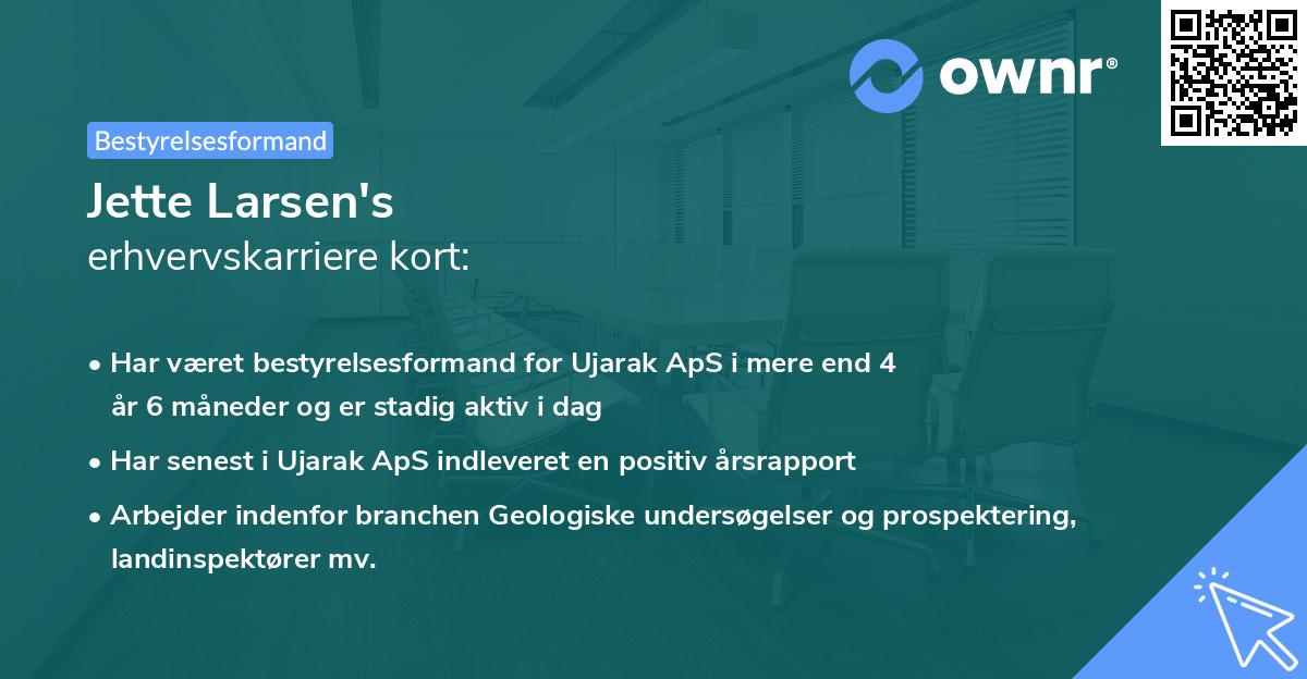 Jette Larsen's erhvervskarriere kort