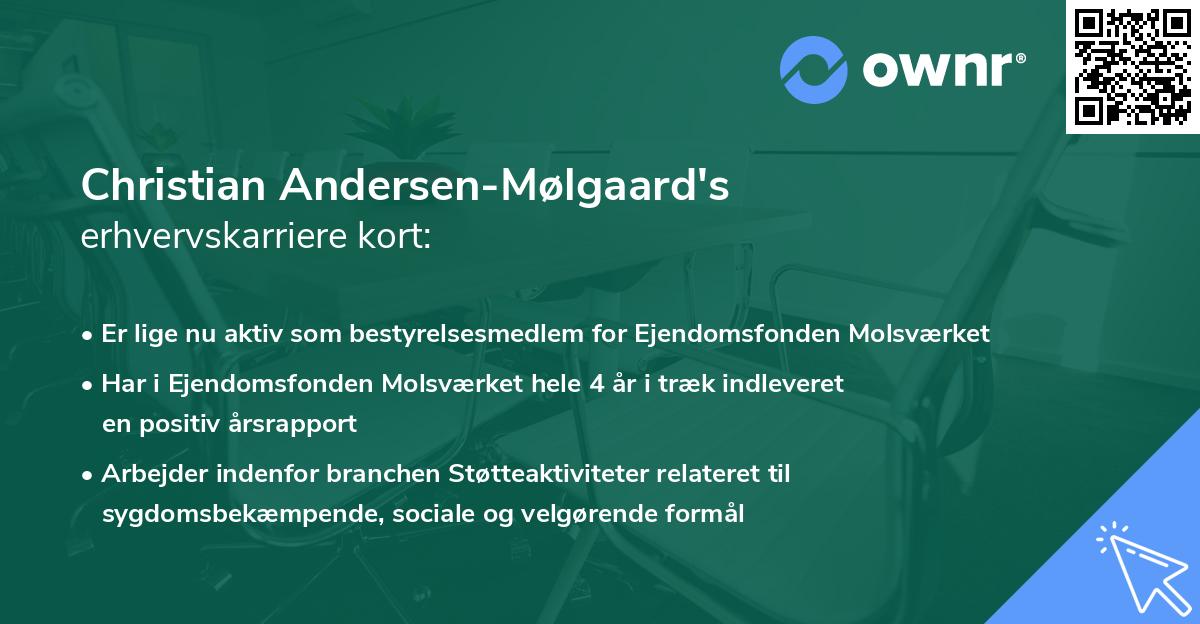 Christian Andersen-Mølgaard's erhvervskarriere kort