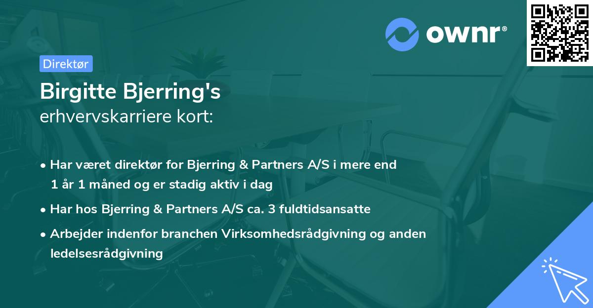 Birgitte Bjerring's erhvervskarriere kort