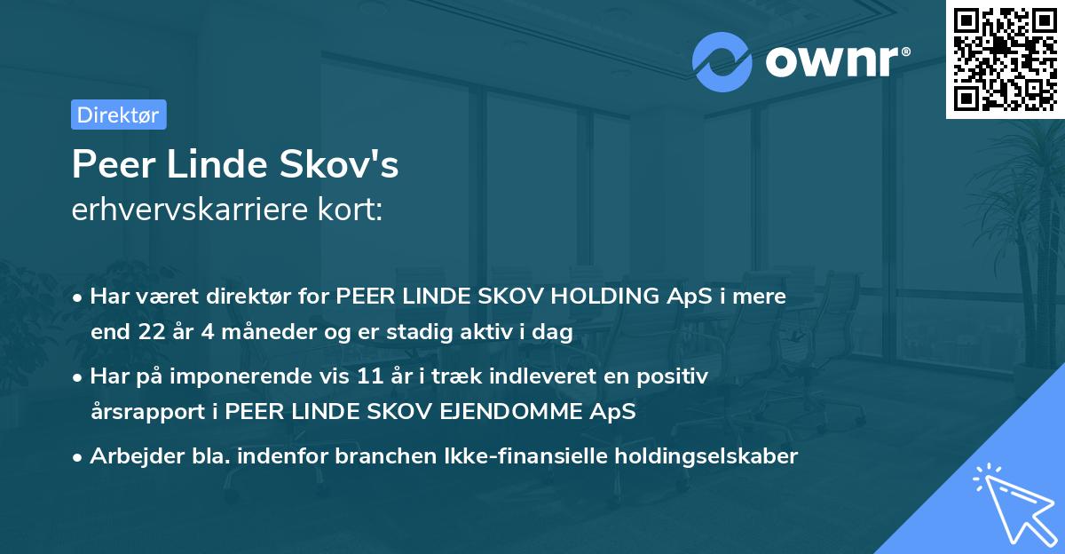 Peer Linde Skov's erhvervskarriere kort