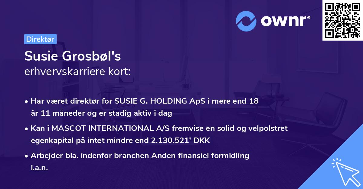 Susie Grosbøl's erhvervskarriere kort