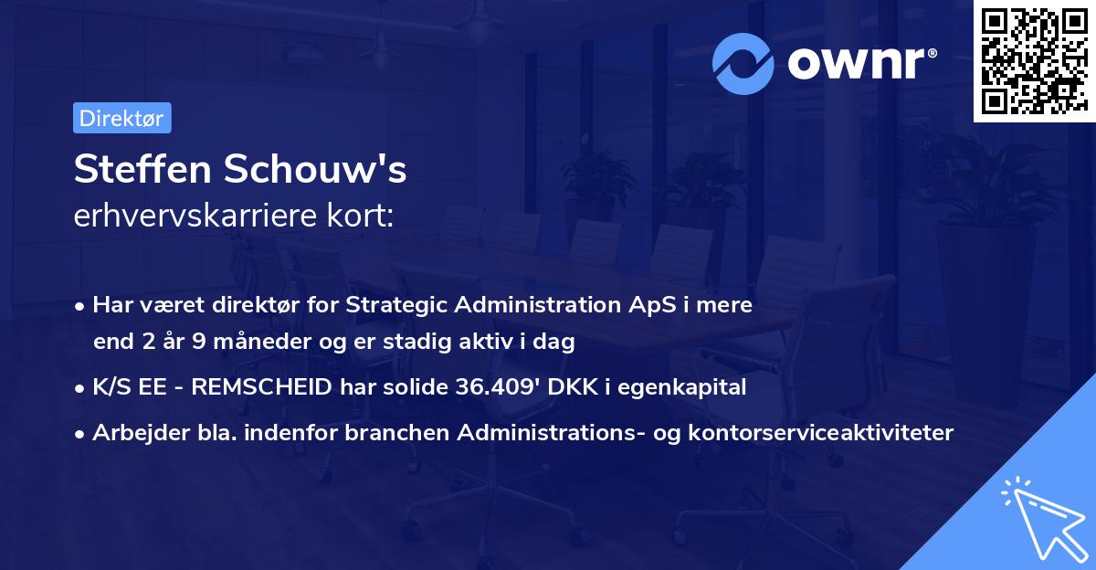 Steffen Schouw's erhvervskarriere kort