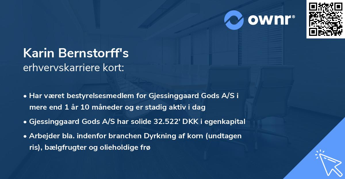 Karin Bernstorff's erhvervskarriere kort