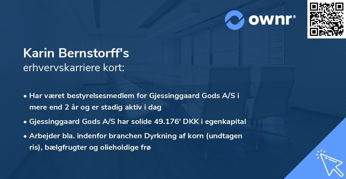 Karin Bernstorff's erhvervskarriere kort