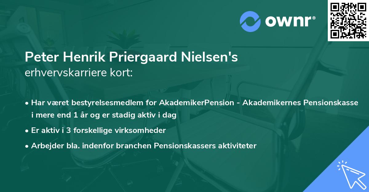 Peter Henrik Priergaard Nielsen's erhvervskarriere kort