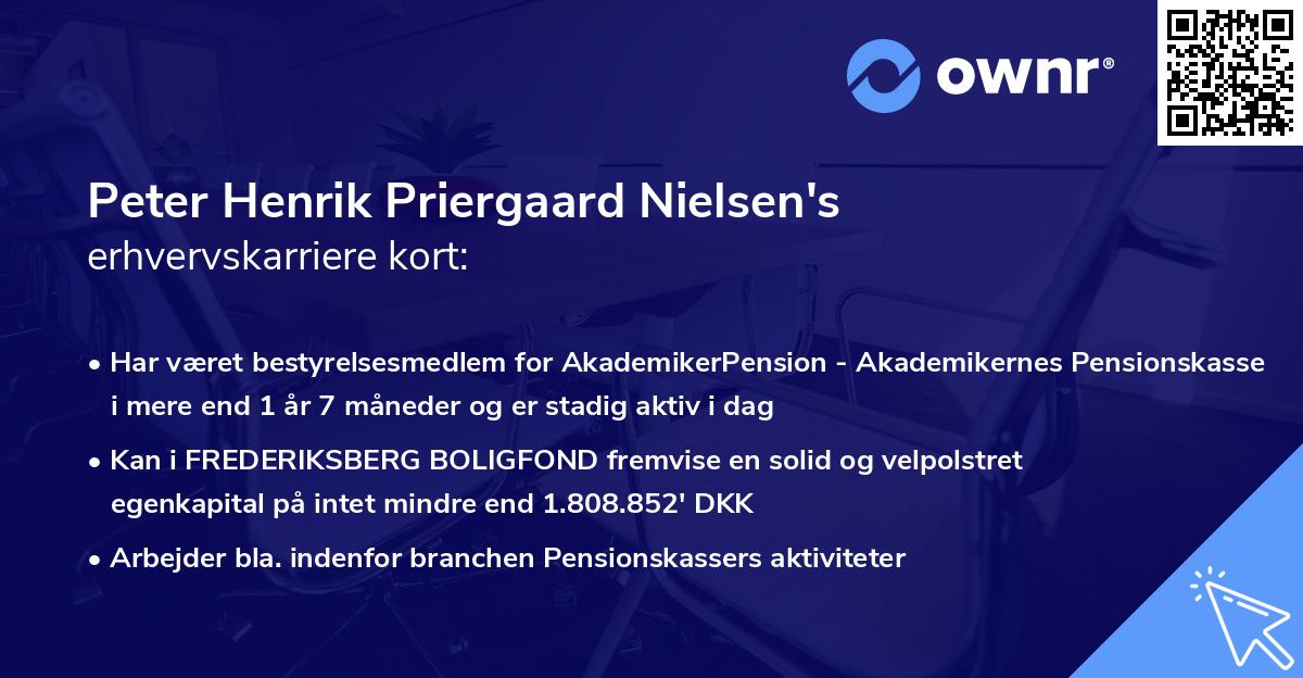 Peter Henrik Priergaard Nielsen's erhvervskarriere kort