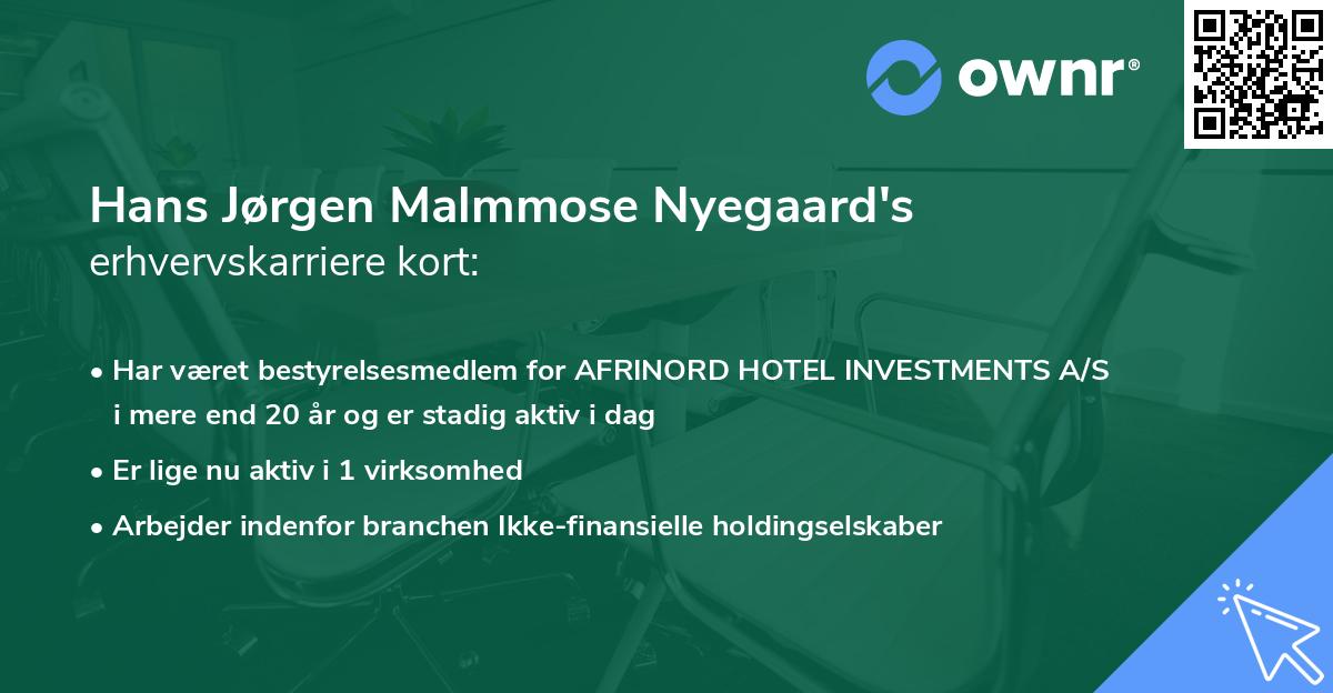 Hans Jørgen Malmmose Nyegaard's erhvervskarriere kort