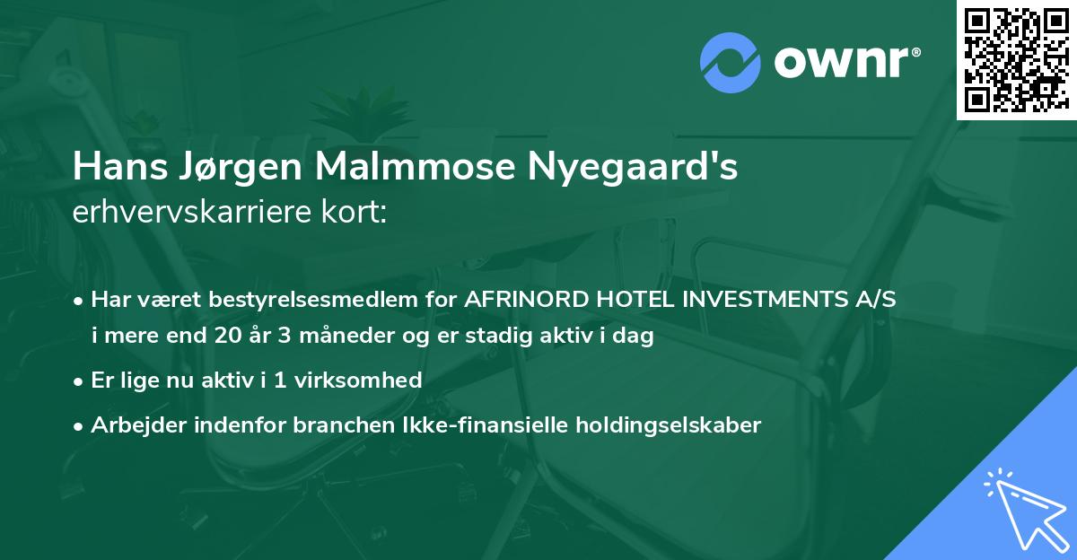 Hans Jørgen Malmmose Nyegaard's erhvervskarriere kort