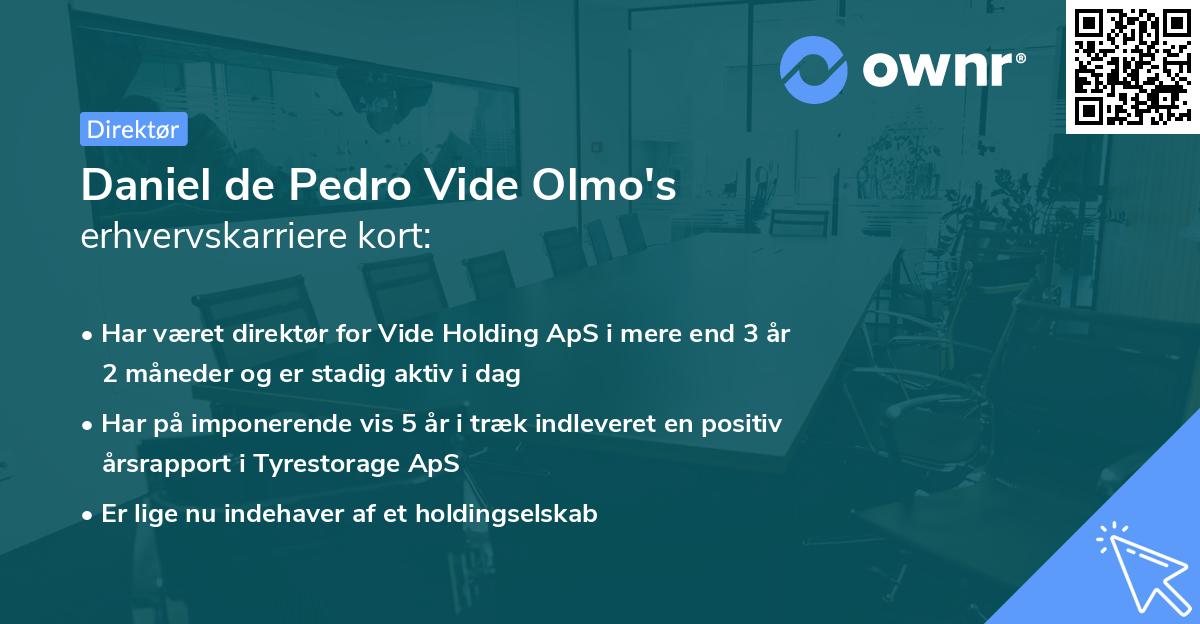 Daniel de Pedro Vide Olmo's erhvervskarriere kort