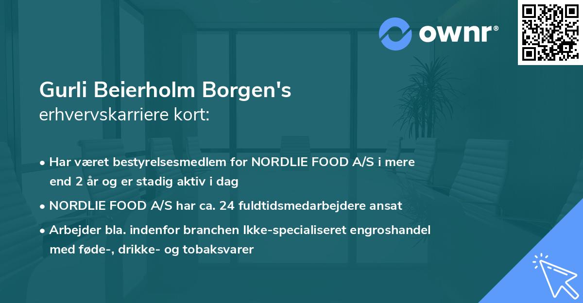 Gurli Beierholm Borgen's erhvervskarriere kort