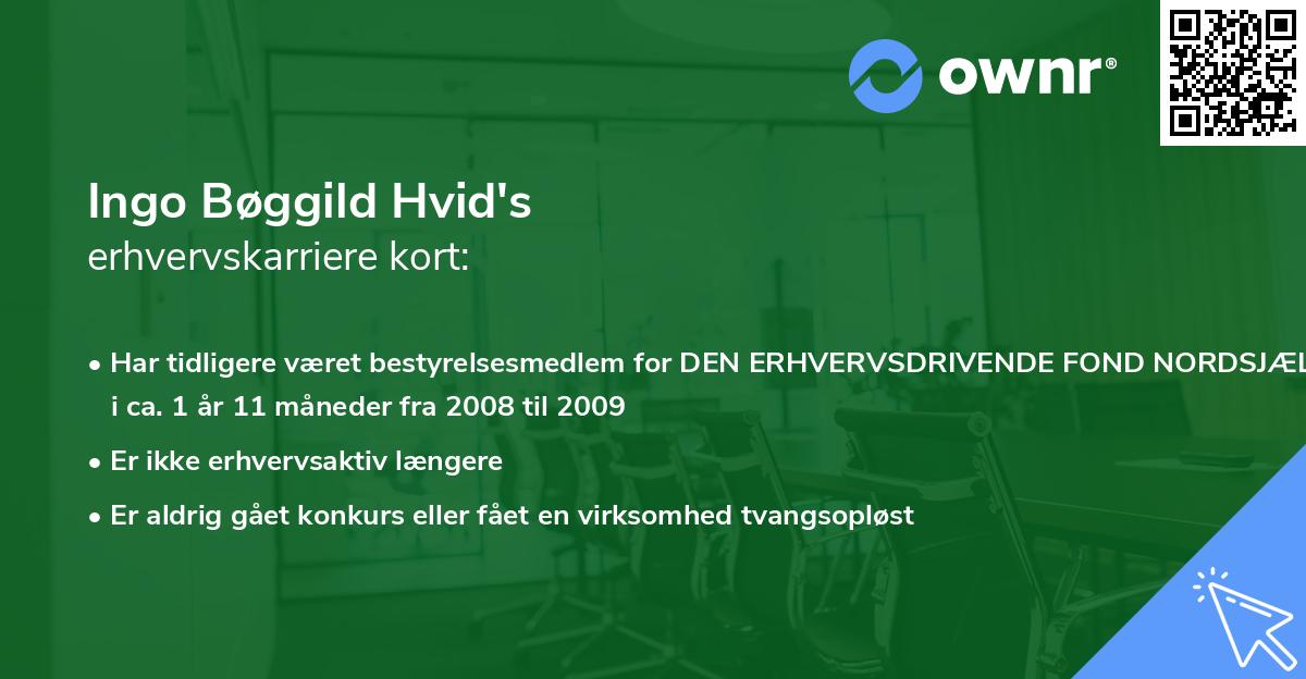 Ingo Bøggild Hvid's erhvervskarriere kort