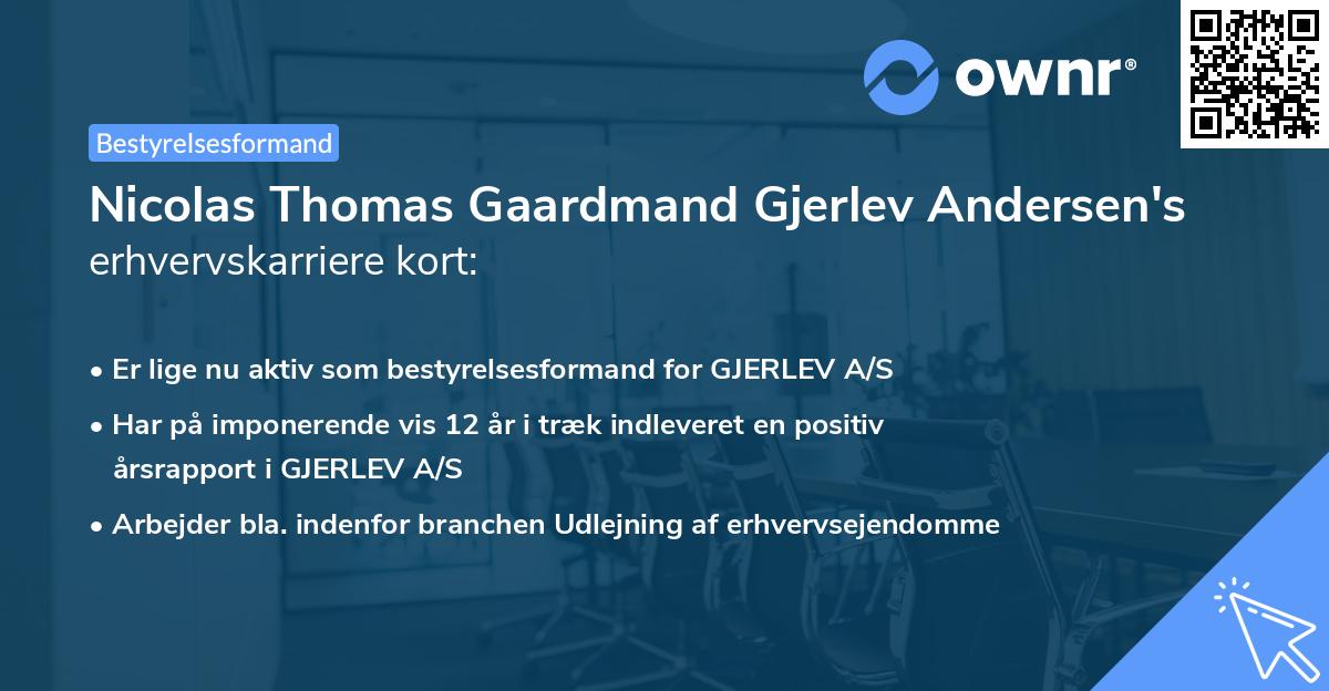 Nicolas Thomas Gaardmand Gjerlev Andersen's erhvervskarriere kort
