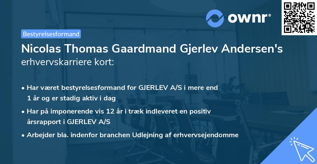 Nicolas Thomas Gaardmand Gjerlev Andersen's erhvervskarriere kort