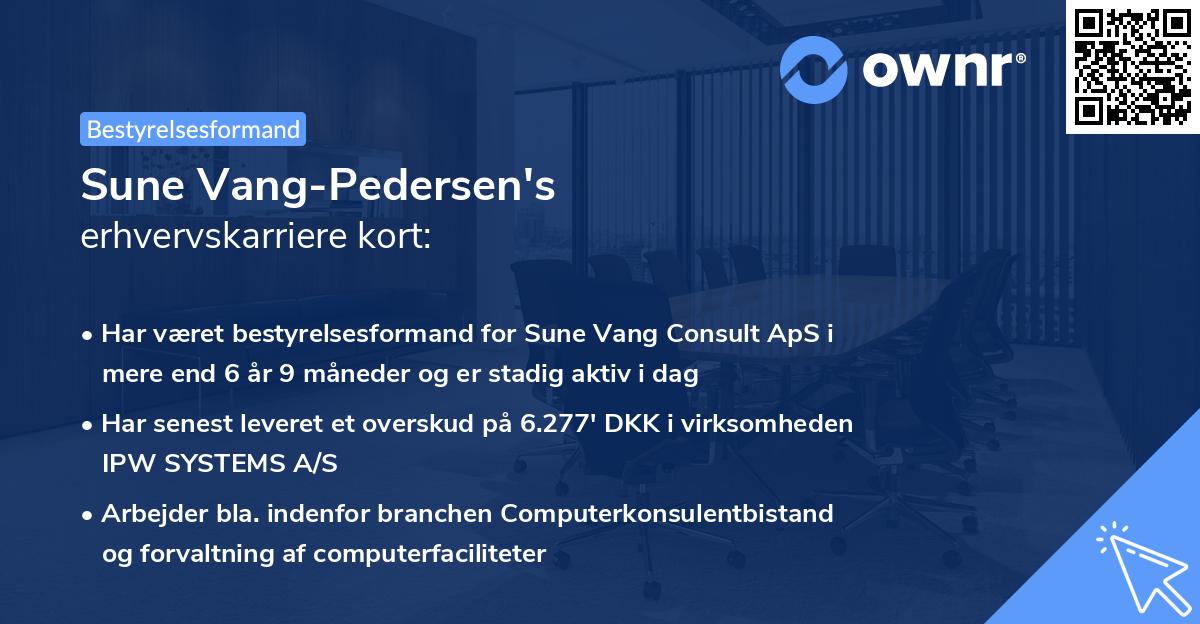 Sune Vang-Pedersen's erhvervskarriere kort