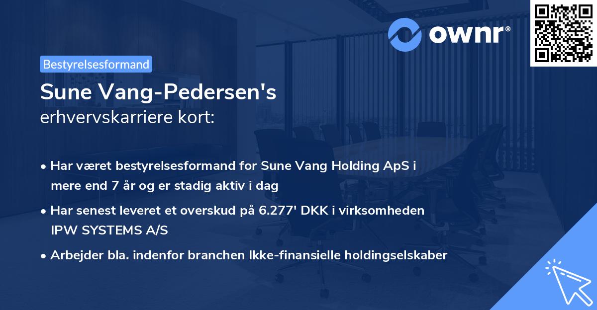 Sune Vang-Pedersen's erhvervskarriere kort
