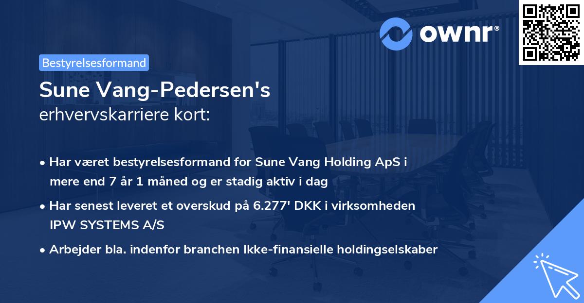 Sune Vang-Pedersen's erhvervskarriere kort