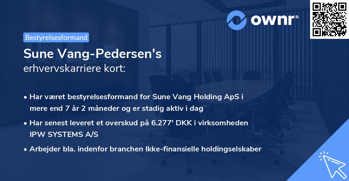 Sune Vang-Pedersen's erhvervskarriere kort