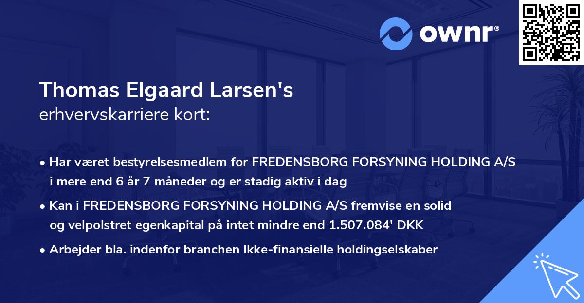 Thomas Elgaard Larsen's erhvervskarriere kort