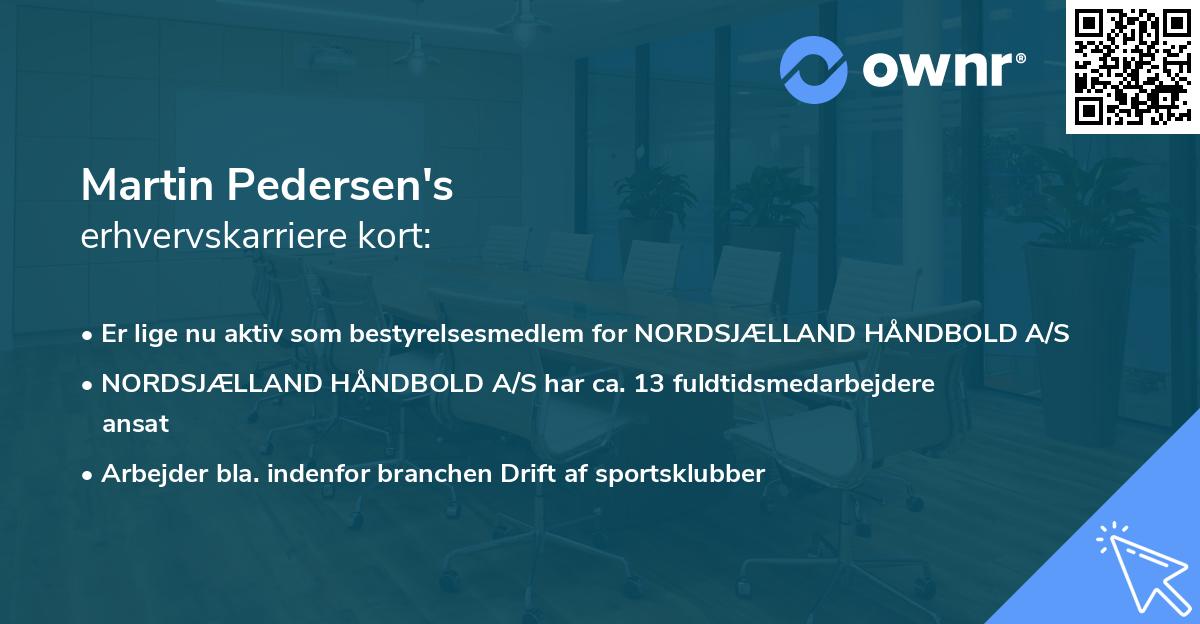 Martin Pedersen's erhvervskarriere kort