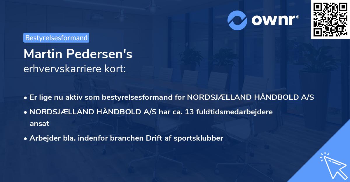 Martin Pedersen's erhvervskarriere kort