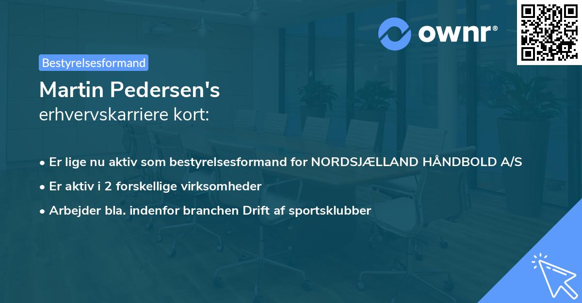 Martin Pedersen's erhvervskarriere kort
